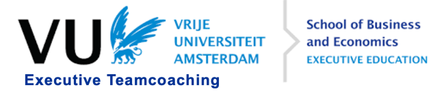 Executive Teamcoaching 2