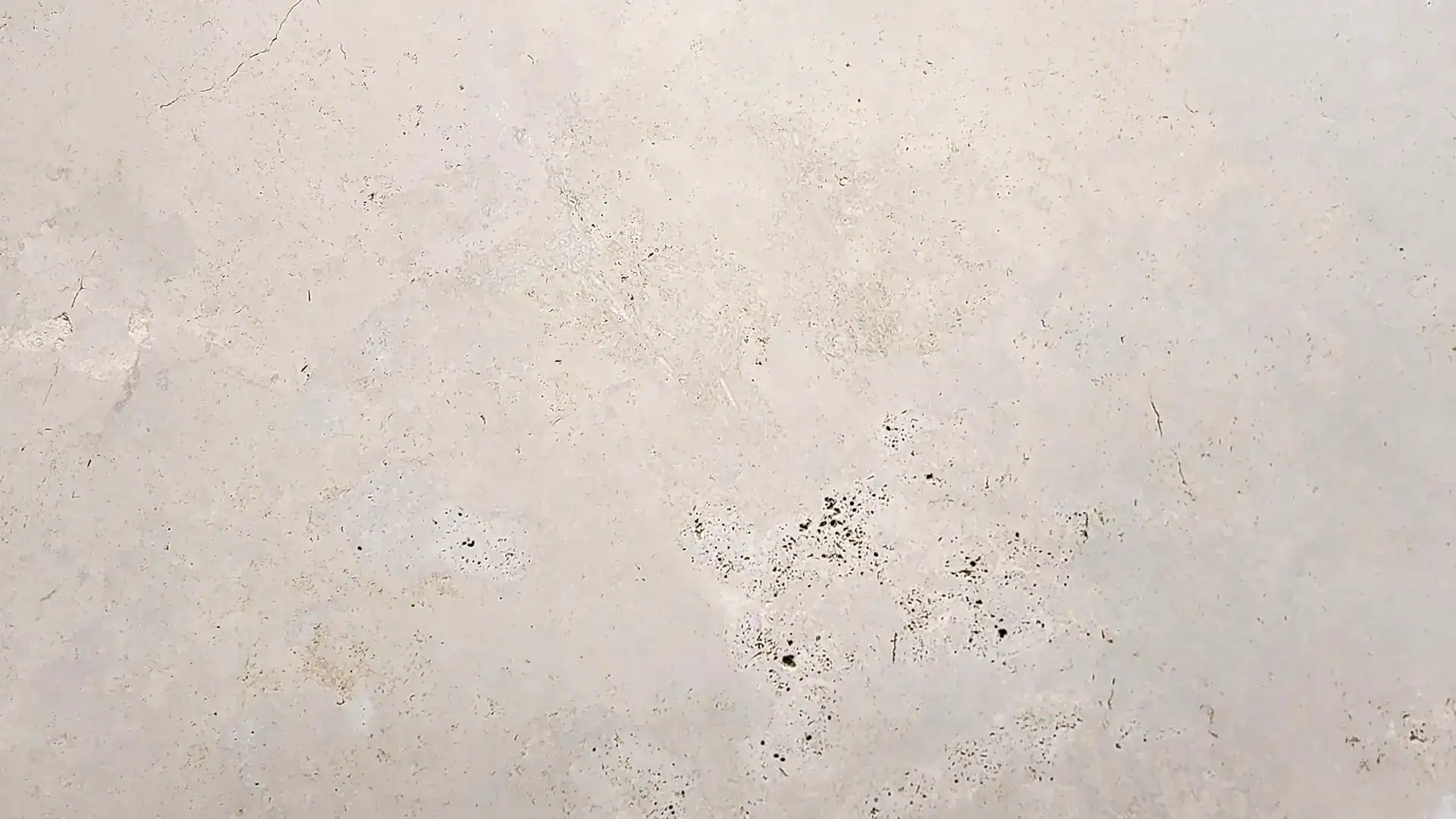 pietra bicci