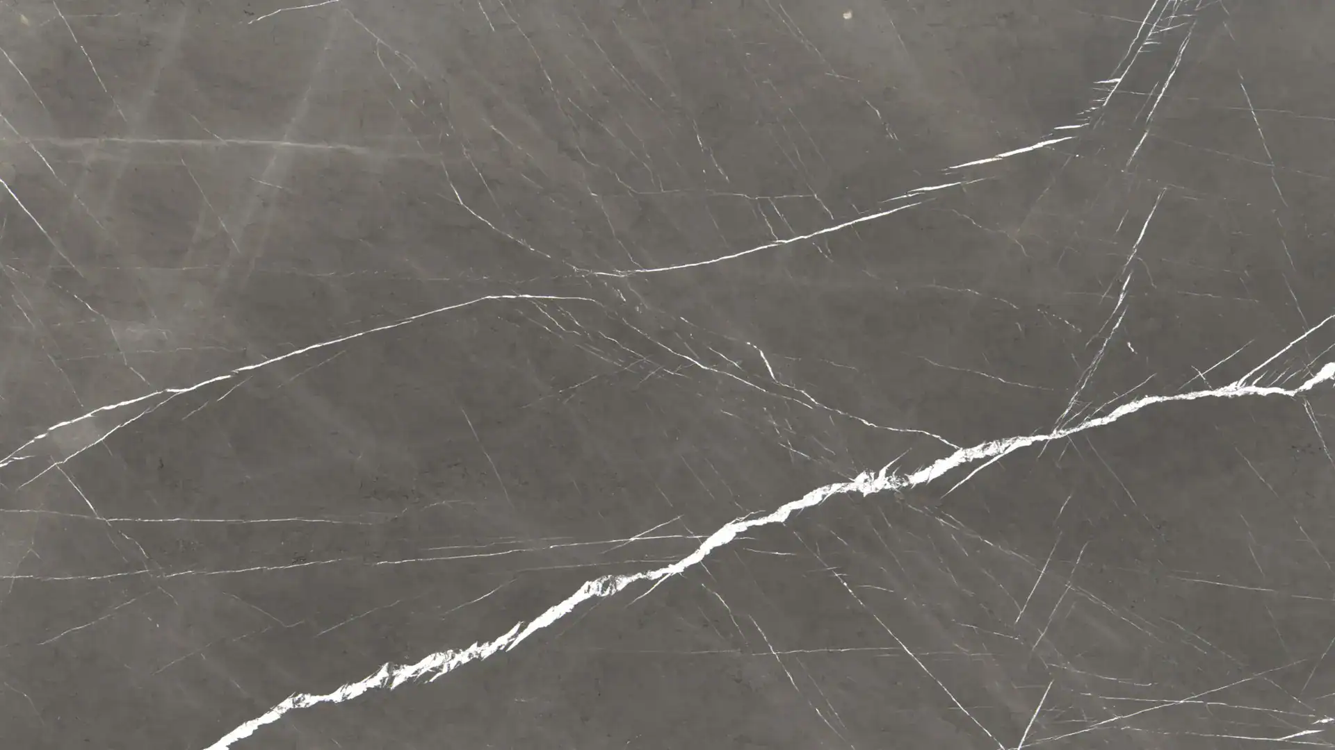 pietra grey