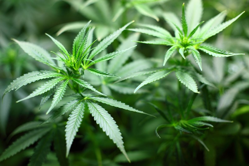 ondernemer betrapt op drugshandel: hof bevestigt redelijkheid schatting inspecteur